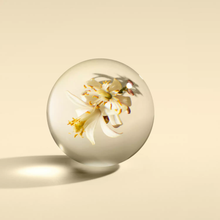 Load image into Gallery viewer, Orange & Bergamot Fine Liquid Hand Wash