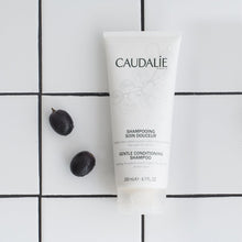Load image into Gallery viewer, Gentle Conditioning Shampoo