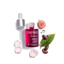 Load image into Gallery viewer, Vinosource Overnight Recovery Oil
