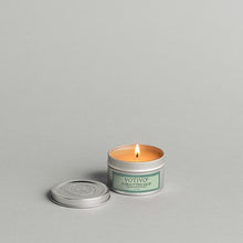Load image into Gallery viewer, 4 oz Travel Tin Forgotten Sage