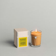 Load image into Gallery viewer, 6.8 oz Aromatic Candle Sumatra Lemongrass