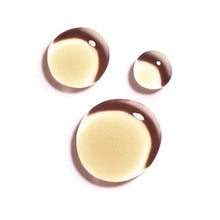 Load image into Gallery viewer, Thé des Vignes Nourishing Oil Body & Hair