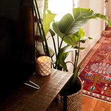 Load image into Gallery viewer, Red Currant Collection Golden Allure