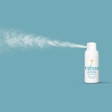 Load image into Gallery viewer, Voluminous Dry Shampoo