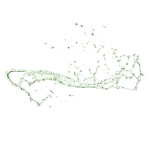 Load image into Gallery viewer, Aloe Vera Toner 16 Oz.