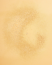 Load image into Gallery viewer, AFTER SUN BODY MIST - 2oz