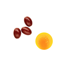 Load image into Gallery viewer, PHYTOPHANERE