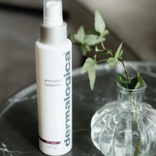Load image into Gallery viewer, Antioxidant HydraMist 1.0 OZ