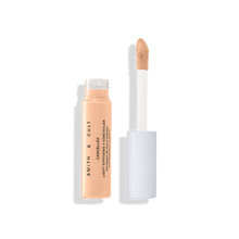 Load image into Gallery viewer, CANCELLED Light Diffusing V-Concealer 100-Cool