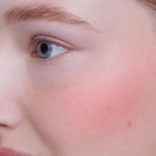 Load image into Gallery viewer, FLASH FLUSH Cream Velvet Blush- Cool Pink
