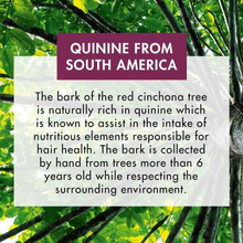 Load image into Gallery viewer, Conditioner with quinine and B vitamins 6.7 oz