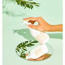 Load image into Gallery viewer, Hand & Body Lotion Sparkling Citrus 10 fl oz Plastic Bottle