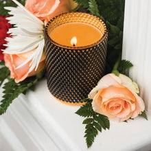 Load image into Gallery viewer, Red Currant Collection Studded Glamour