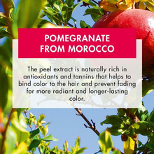 Load image into Gallery viewer, Conditioner with pomegranate 6.7 oz