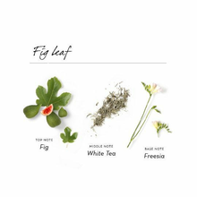 Load image into Gallery viewer, Fig leaf shower gel with Cupuaçu butter - travel size2.5 fl. oz.