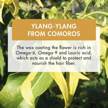 Load image into Gallery viewer, Protective oil with Ylang-Ylang wax - travel size 1.6 fl. oz.