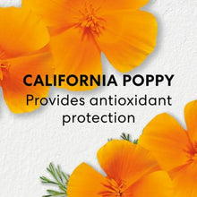 Load image into Gallery viewer, Brilliant Future Age Defense & Renew Serum