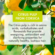 Load image into Gallery viewer, Shampoo with citrus pulp13.5 oz