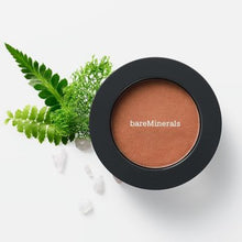 Load image into Gallery viewer, Bounce & Blur Powder Blush