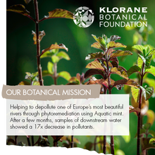 Load image into Gallery viewer, Purifying mist with aquatic mint - travel size1.6 oz