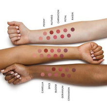 Load image into Gallery viewer, Barepro Longwear Lipstick