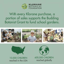 Load image into Gallery viewer, Detox shampoo with aquatic mint - travel size 3.3 oz