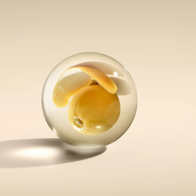 Load image into Gallery viewer, Vetiver & Grapefruit Body Lotion