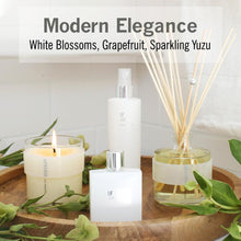 Load image into Gallery viewer, IF Large Diffuser