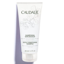 Load image into Gallery viewer, Gentle Conditioning Shampoo
