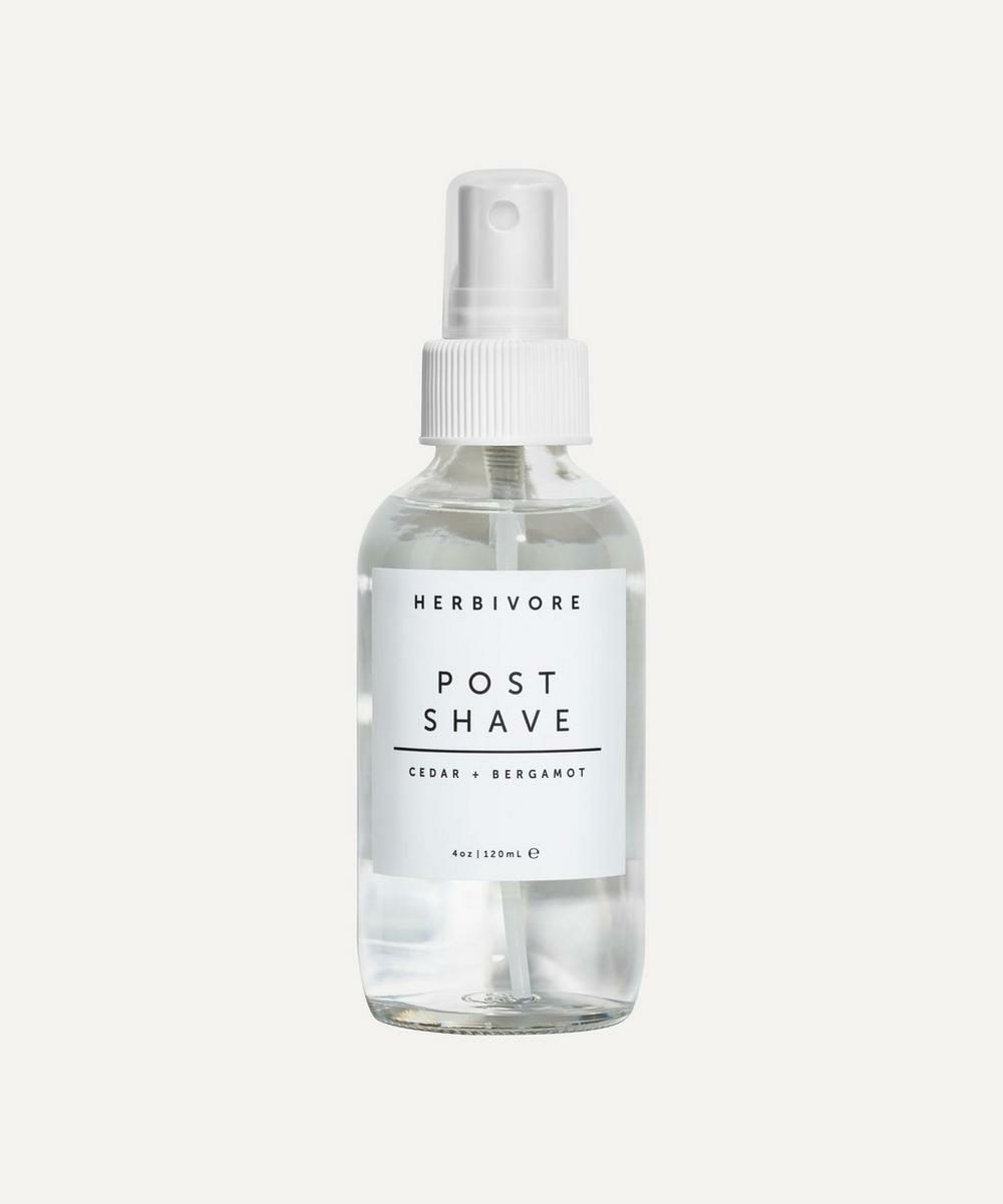 POST SHAVE TONING ELIXIR - 4oz