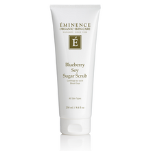 Load image into Gallery viewer, Blueberry Soy Sugar Scrub 8.4oz Tube Retail
