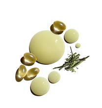 Load image into Gallery viewer, Protein Booster Skin Serum, 2 oz
