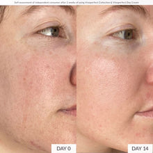 Load image into Gallery viewer, Vinoperfect Day Cream Moisturizer
