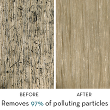 Load image into Gallery viewer, Detox shampoo with aquatic mint - travel size 3.3 oz
