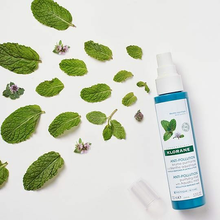 Load image into Gallery viewer, Purifying mist with aquatic mint - travel size1.6 oz
