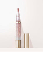 Load image into Gallery viewer, Plumping Lip Glaze Amor
