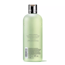 Load image into Gallery viewer, Black Tea Extract Daily Shampoo
