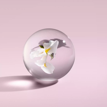 Load image into Gallery viewer, Suede Orris Bath &amp; Shower Gel
