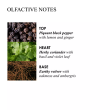 Load image into Gallery viewer, Black Peppercorn Aroma Reeds

