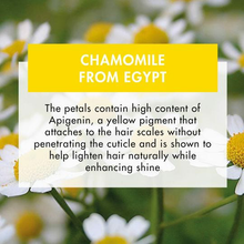 Load image into Gallery viewer, Shampoo with chamomile 13.5 oz.
