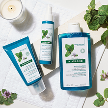 Load image into Gallery viewer, Detox shampoo with aquatic mint - travel size 3.3 oz
