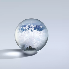 Load image into Gallery viewer, Coastal Cypress &amp; Sea Fennel Hand Lotion
