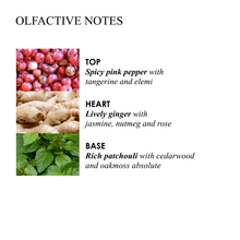 Load image into Gallery viewer, Fiery Pink Pepper Hand Lotion
