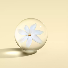 Load image into Gallery viewer, Flora Luminare Body Lotion
